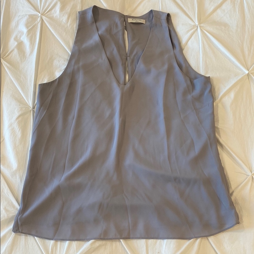 Aritzia Babaton Women's Sleeveless Top in Light Gray